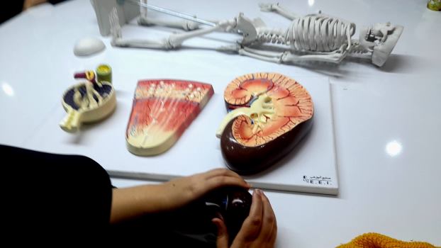 اخبار و اطلاعیه